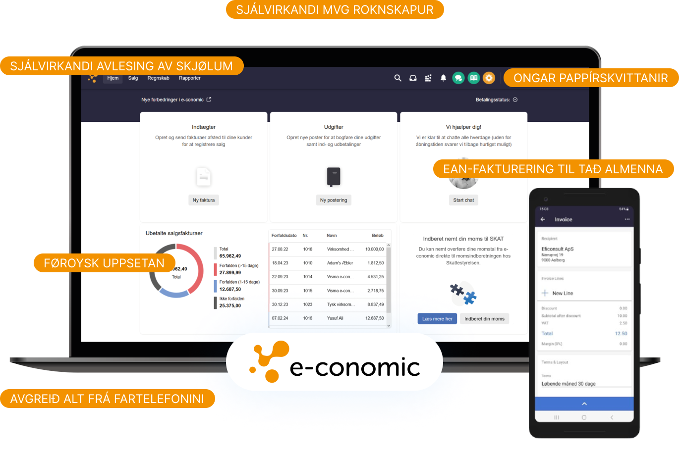Online bókhaldsskipan – skíggjamynd